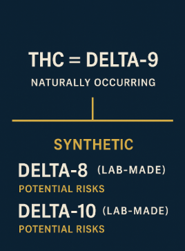 Infographic Delta 9 v Delta 8 and 10